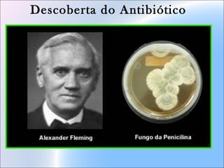 Descoberta do Antibiótico
 