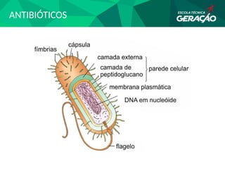ANTIBIÓTICOS
 