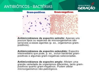 ANTIBIÓTICOS - BACTÉRIAS
 