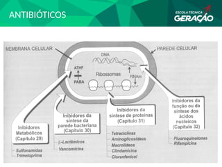 ANTIBIÓTICOS
 