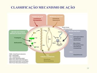 CLASSIFICAÇÃO MECANISMO DE AÇÃO




                                  19
 
