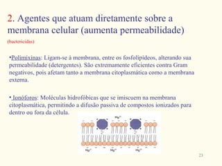 2. Agentes que atuam diretamente sobre a
membrana celular (aumenta permeabilidade)
(bactericidas)


•Polimixinas: Ligam-se à membrana, entre os fosfolipídeos, alterando sua
permeabilidade (detergentes). São extremamente eficientes contra Gram
negativos, pois afetam tanto a membrana citoplasmática como a membrana
externa.

• Ionóforos: Moléculas hidrofóbicas que se imiscuem na membrana
citoplasmática, permitindo a difusão passiva de compostos ionizados para
dentro ou fora da célula.




                                                                           23
 