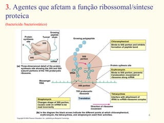 3. Agentes que afetam a função ribossomal/síntese
proteica
(bactericida /bacteriostático)




                                              24
 