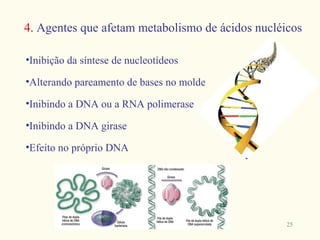 4. Agentes que afetam metabolismo de ácidos nucléicos

•Inibição da síntese de nucleotídeos

•Alterando pareamento de bases no molde

•Inibindo a DNA ou a RNA polimerase

•Inibindo a DNA girase

•Efeito no próprio DNA




                                                  25
 