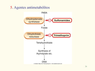 5. Agentes antimetabólitos




                             26
 