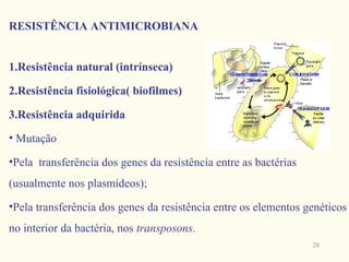RESISTÊNCIA ANTIMICROBIANA


1.Resistência natural (intrínseca)

2.Resistência fisiológica( biofilmes)

3.Resistência adquirida
• Mutação

•Pela transferência dos genes da resistência entre as bactérias
(usualmente nos plasmídeos);
•Pela transferência dos genes da resistência entre os elementos genéticos
no interior da bactéria, nos transposons.
                                                                  28
 
