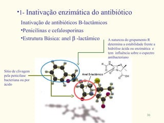 •1- Inativação enzimática do antibiótico
           Inativação de antibióticos B-lactâmicos
           •Penicilinas e cefalosporinas
           •Estrutura Básica: anel β -lactâmico    A natureza do grupamento R
                                                       determina a estabilidade frente a
                                                       hidrólise ácida ou enzimática e
                                                       tem influência sobre o espectro
                                                       antibacteriano


Sítio de clivagem
pela penicilase
bacteriana ou por
ácido




                                                                                  30
 