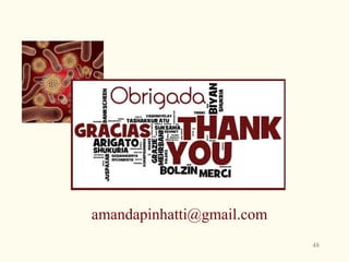 amandapinhatti@gmail.com
                           48
 