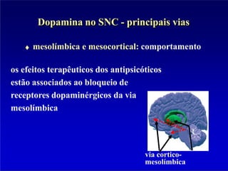 Dopamina no SNC - principais vias
mesolímbica e mesocortical: comportamento
os efeitos terapêuticos dos antipsicóticos
estão associados ao bloqueio de
receptores dopaminérgicos da via
mesolímbica
via cortico-
mesolímbica
 