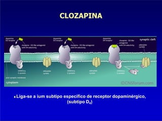 CLOZAPINA
Liga-se a ium subtipo específico de receptor dopaminérgico,
(subtipo D4)
 