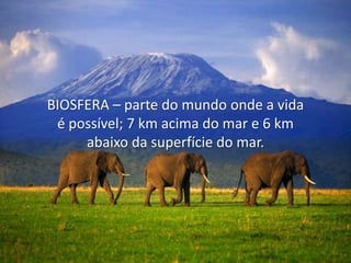 BIOSFERA – parte do mundo onde a vida
é possível; 7 km acima do mar e 6 km
abaixo da superfície do mar.

 
