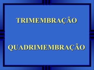 TRIMEMBRAÇÃOQUADRIMEMBRAÇÃO