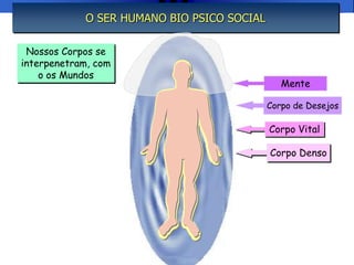 MenteCorpo de DesejosCorpo VitalCorpo DensoO SER HUMANO BIO PSICO SOCIALINTRODUÇÃONossos Corpos se interpenetram, como os Mundos
