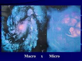 Macro     x      Micro