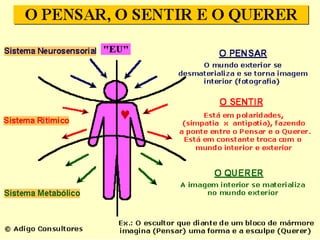 Aula antroposofia congresso S.C.S.