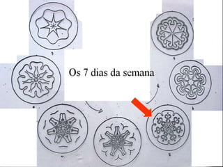 Aula antroposofia congresso S.C.S.