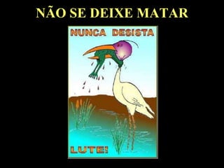 SOBREVIVÊNCIA