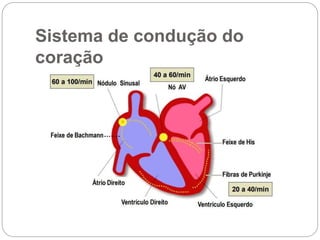 Sistema de condução do
coração
 