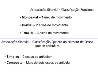 Articulação Sinovial - Classificação Funcional
• Monoaxial – 1 eixo de movimento
• Biaxial – 2 eixos de movimento
• Triaxial – 3 eixos de movimento
Articulação Sinovial - Classificação Quanto ao Número de Ossos
que se articulam
• Simples – 2 ossos se articulam
• Composta – Mais de dois ossos se articulam
 