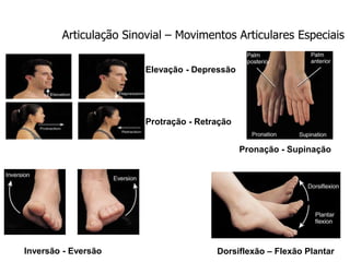 Articulação Sinovial – Movimentos Articulares Especiais
Elevação - Depressão
Protração - Retração
Pronação - Supinação
Inversão - Eversão Dorsiflexão – Flexão Plantar
 
