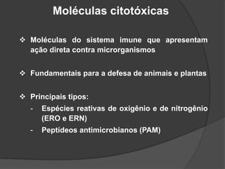 Moléculas citotóxicas
 Moléculas do sistema imune que apresentam
ação direta contra microrganismos
 Fundamentais para a defesa de animais e plantas
 Principais tipos:
- Espécies reativas de oxigênio e de nitrogênio
(ERO e ERN)
- Peptídeos antimicrobianos (PAM)
 