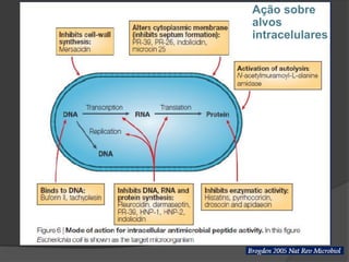 Ação sobre
alvos
intracelulares
 