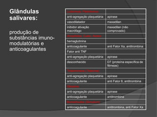 Glândulas
salivares:
produção de
substâncias imuno-
modulatórias e
anticoagulantes
Lutzomyia, Flebotomus
anti-agregação plaquetária apirase
vasodilatador maxadilan
inibidor ativação
macrófago
maxadilan (não
comprovado)
Anopheles, Culex, Aedes
hemaglutinina
anticoagulante anti Fator Xa, antitrombina
Fator anti TNF
anti-agregação plaquetária apirase
desconhecido D7 (proteína específica de
fêmeas)
Triatomíneos (Triatoma)
anti-agregação plaquetária apirase
anticoagulante anti Fator 8, antitrombina
Glossina
anti-agregação plaquetária apirase
anticoagulante antitrombina
Borrachudos (Simulium)
anticoagulante antitrombina, anti Fator Xa
 