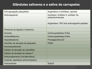 Glândulas salivares e a saliva de carrapatos
Anti-agregação plaquetária Argasídeos e Ixodídeos: apirase
Anticoagulante Ixodídeos: Antifator 8, antifator 5a,
antiprótrombinase
Argasídeos: TAP (tick anticoagulant peptide)
Proteínas de ligação à histamina
Quinase Carboxypeptidase N-like
Antianafilatoxina Carboxypeptidase N-like
Vasodilatadores Prostaglandina E2
Anti-fator de ativação de plaquetas PGE2
Imunosupressores
Inibidor de ativação de neutrófilos
Inibidor de ativação de células T
Anticomplemento (via alternativa)
Lectinas, peptídeos antimicrobianos
Antioxidantes Salp25
 