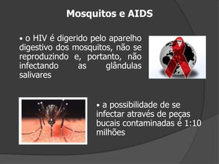 Mosquitos e AIDS
• o HIV é digerido pelo aparelho
digestivo dos mosquitos, não se
reproduzindo e, portanto, não
infectando as glândulas
salivares
• a possibilidade de se
infectar através de peças
bucais contaminadas é 1:10
milhões
 