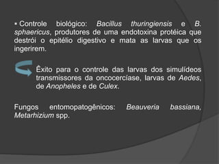  Controle biológico: Bacillus thuringiensis e B.
sphaericus, produtores de uma endotoxina protéica que
destrói o epitélio digestivo e mata as larvas que os
ingerirem.
Êxito para o controle das larvas dos simulídeos
transmissores da oncocercíase, larvas de Aedes,
de Anopheles e de Culex.
Fungos entomopatogênicos: Beauveria bassiana,
Metarhizium spp.
 