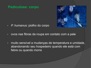  P. humanus: piolho do corpo
 ovos nas fibras da roupa em contato com a pele
 muito sensível a mudanças de temperatura e umidade,
abandonando seu hospedeiro quando ele está com
febre ou quando morre
Pediculose: corpo
 