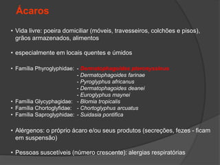 • Vida livre: poeira domiciliar (móveis, travesseiros, colchões e pisos),
grãos armazenados, alimentos
• especialmente em locais quentes e úmidos
• Família Phyroglyphidae: - Dermatophagoides pteronyssinus
- Dermatophagoides farinae
- Pyroglyphus africanus
- Dermatophagoides deanei
- Euroglyphus maynei
• Família Glycyphagidae: - Blomia tropicalis
• Família Chortoglyfidae: - Chortoglyphus arcuatus
• Família Saproglyphidae: - Suidasia pontifica
• Alérgenos: o próprio ácaro e/ou seus produtos (secreções, fezes - ficam
em suspensão)
• Pessoas suscetíveis (número crescente): alergias respiratórias
Ácaros
 