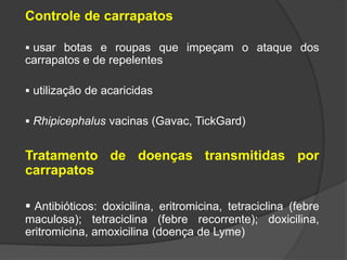 Controle de carrapatos
 usar botas e roupas que impeçam o ataque dos
carrapatos e de repelentes
 utilização de acaricidas
 Rhipicephalus vacinas (Gavac, TickGard)
Tratamento de doenças transmitidas por
carrapatos
 Antibióticos: doxicilina, eritromicina, tetraciclina (febre
maculosa); tetraciclina (febre recorrente); doxicilina,
eritromicina, amoxicilina (doença de Lyme)
 
