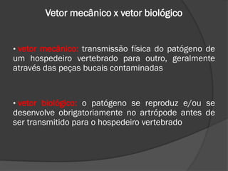 Vetor mecânico x vetor biológico
• vetor mecânico: transmissão física do patógeno de
um hospedeiro vertebrado para outro, geralmente
através das peças bucais contaminadas
• vetor biológico: o patógeno se reproduz e/ou se
desenvolve obrigatoriamente no artrópode antes de
ser transmitido para o hospedeiro vertebrado
 
