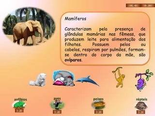 Mamíferos

                  Caracterizam     pela    presença   de
                  glândulas mamárias nas fêmeas, que
                  produzem leite para alimentação dos
                  filhotes.     Possuem      pelos    ou
                  cabelos, respiram por pulmões, formam-
                  se dentro do corpo da mãe, são
                  ovíparos.




anfíbios   aves                peixes              répteis
 