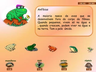 Anfíbios

            A maioria nasce de ovos que se
            desenvolvem fora do corpo da fêmea.
            Quando pequenos, vivem só na água e
            , quando crescem, podem viver na água e
            na terra. Tem a pele úmida.




mamíferos   aves             peixes           répteis
 