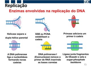 Aula Aula 3 - Biologia Molecular, conceitos | PDF