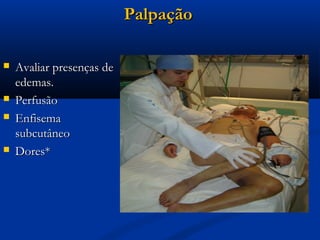 Palpação

   Avaliar presenças de
    edemas.
   Perfusão
   Enfisema
    subcutâneo
   Dores*
 