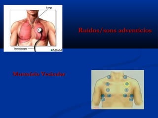 Ruídos/sons adventícios




Murmúrio Vesicular
 