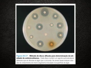 BACTERIAS