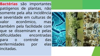 AULA BACTERIAS e sua ação no meio ambiente | PPTX