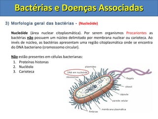 3) Morfologia geral das bactérias - (Nucleóide)
Nucleóide (área nuclear citoplasmática). Por serem organismos Procariontes as
bactérias não possuem um núcleo delimitado por membrana nuclear ou carioteca. Ao
invés de núcleo, as bactérias apresentam uma região citoplasmática onde se encontra
do DNA bacteriano (cromossomo circular).
Não estão presentes em células bacterianas:
1. Proteínas histonas
2. Nucléolo
3. Carioteca
Bactérias e Doenças AssociadasBactérias e Doenças Associadas
 