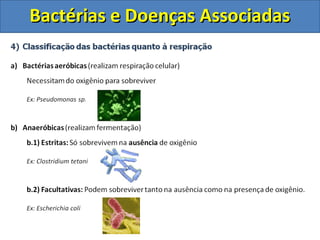 Bactérias e Doenças AssociadasBactérias e Doenças Associadas
 