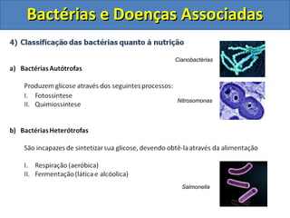 Bactérias e Doenças AssociadasBactérias e Doenças Associadas
Cianobactérias
Nitrosomonas
Salmonella
 