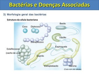 3) Morfologia geral das bactérias
Estrutura da célula bacteriana
Bactérias e Doenças AssociadasBactérias e Doenças Associadas
Coco Diplococo
Estreptococo
Estafilococos
(cacho de uva)
Bacilo
Vibrião
Sarcina
(Cubo com oito células)
Espirilo
Estreptobacilo
Espiroqueta
 