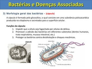 3) Morfologia geral das bactérias - (cápsula)
A cápsula é formada pelo glicocálice, o qual consiste em uma substância polissacarídica
produzida no citoplasma e secretados para a superfície celular.
Funções da cápsula:
1. Impedir que a célula seja fagocitada por células de defesa.
2. Promover a adesão das bactérias em diferentes substratos (dentes humanos,
trato respiratório, mucosa intestinal, etc.)
3. Proteger as bactérias contra desidratação e choques mecânicos.
Bactérias e Doenças AssociadasBactérias e Doenças Associadas
cápsula
 