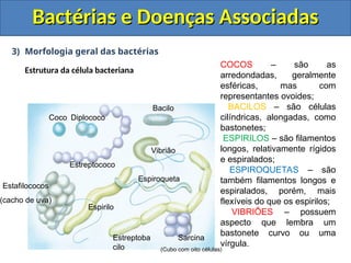 3) Morfologia geral das bactérias
Estrutura da célula bacteriana
Bactérias e Doenças Associadas
Bactérias e Doenças Associadas
Coco Diplococo
Estreptococo
Estafilococos
(cacho de uva)
Bacilo
Vibrião
Sarcina
(Cubo com oito células)
Espirilo
Estreptoba
cilo
Espiroqueta
COCOS – são as
arredondadas, geralmente
esféricas, mas com
representantes ovoides;
BACILOS – são células
cilíndricas, alongadas, como
bastonetes;
ESPIRILOS – são filamentos
longos, relativamente rígidos
e espiralados;
ESPIROQUETAS – são
também filamentos longos e
espiralados, porém, mais
flexíveis do que os espirilos;
VIBRIÕES – possuem
aspecto que lembra um
bastonete curvo ou uma
vírgula.
 