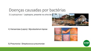 Doenças causadas por bactérias
3) Leptospirose / Leptospira, presente na urina de ratos
4) Hanseníase (Lepra) / Mycobacterium leprae
5) Pneumonia / Streptococcus pneumoniae
 