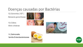 Doenças causadas por Bactérias
12) Gonorréia ( IST )
Neisseria gonorrhoeae
13) Cólera
Vibrio cholerae
14) Salmonella:
família Enterobacteriaceae
 