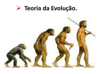  Teoria da Evolução.
 